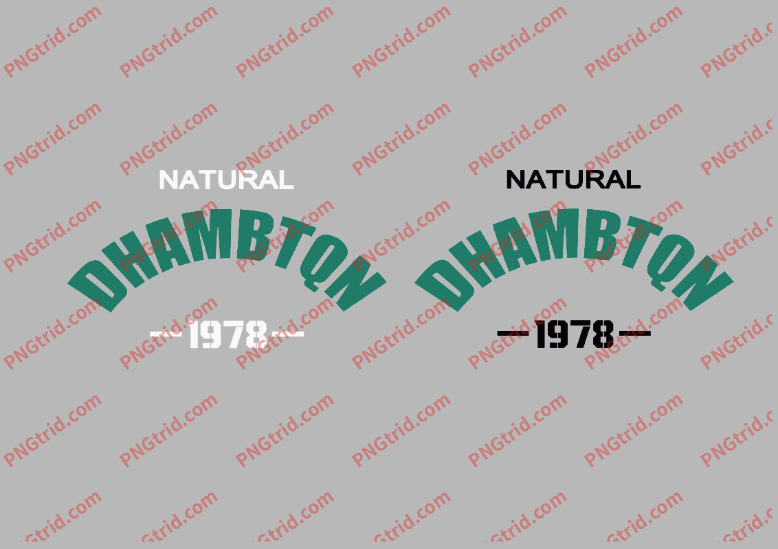 L335 DHAMBTQN NATURAL 潮流 时尚 英文 数字 1978 创意 个性 双色PNG部落_T恤图案_透明图_白墨_图案破脑瓜部落