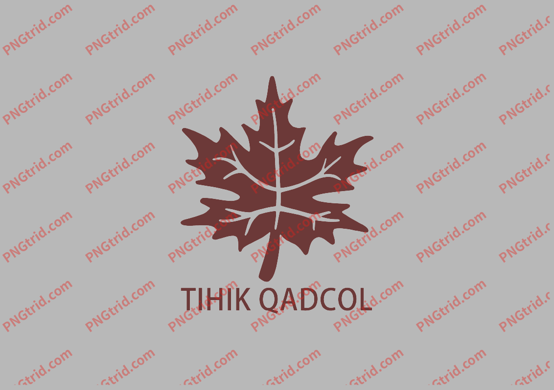 L442 TIHIK QADCOL 枫叶 创意 个性 简约 英文PNG部落_T恤图案_透明图_白墨_图案破脑瓜部落